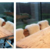 Finishes_Driftwood_1