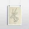 Geometric Picture
