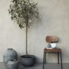 dining chair